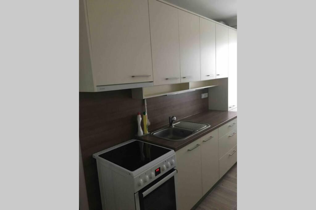 Family Apartment With Garden And Parking Spot Ceske Budejovice Luaran gambar