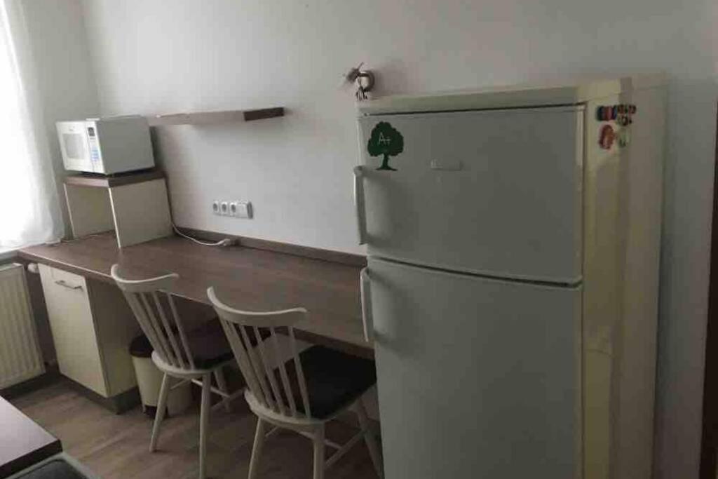 Family Apartment With Garden And Parking Spot Ceske Budejovice Luaran gambar