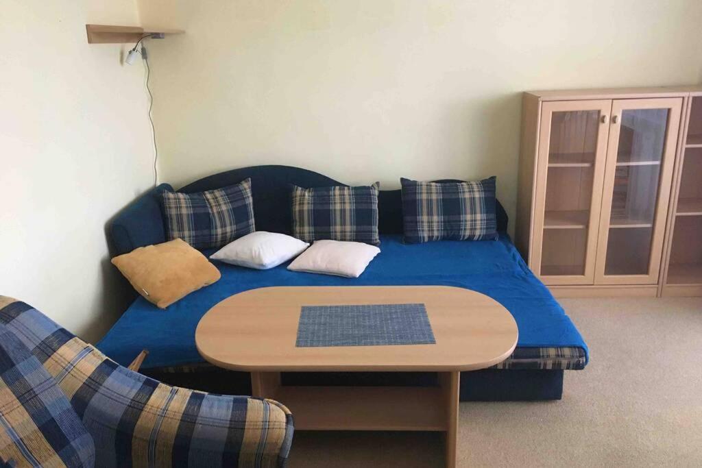 Family Apartment With Garden And Parking Spot Ceske Budejovice Luaran gambar